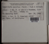 Image Associated With the Occurence